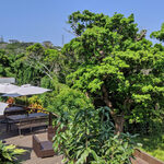 カフェグリーングリーン - 