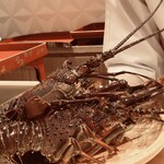 銀座 しのはら - 伊勢海老ちゃん