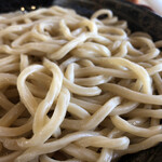 麺蔵 禅 - コシの強い地粉うどん