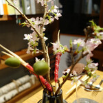 セララバアド - 桜