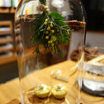 セララバアド - フィトンチッド