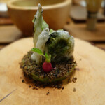 セララバアド - 春の大地