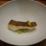 セララバアド - 春霞　鮎魚女