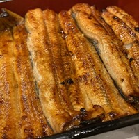 うなぎ割烹 白金台 まつ本 - 