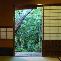 瓢亭 本店 - 離れの茶室から庭を