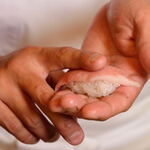 うまい鮨勘 - メイン写真: