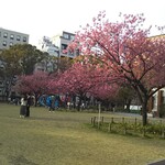 築地銀だこ ハイボール酒場 - 