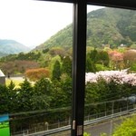 箱根飲茶楼 - 彫刻の森を見下ろすことが出来ます