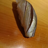 鮨 あらい - 