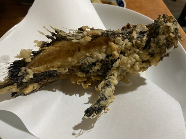 Taishu Sakaba Kuraya photo 3