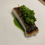 bb9 - まながつお　菜の花ソース