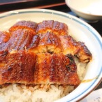 Ichi fuji - 鰻丼