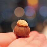 ピエール・ガニェール - 