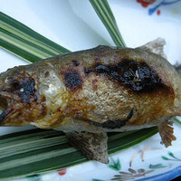 葉山 日影茶屋 - 鮎