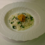 リストランテ・マッサ - 桜のリゾット