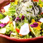 Seven types of vegetable salad with tea soba and octopus