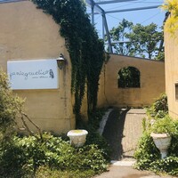pantagruelico  - 