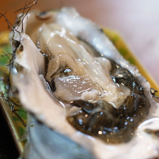 かきや NO KAKIYA_0