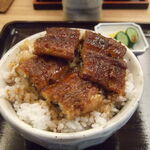 Unagi Namazuya - 