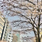 AMOUR - 帰りの明治通り