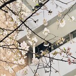 AMOUR - 明治通り