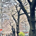 AMOUR - 帰りは少し空が明るくなっていました