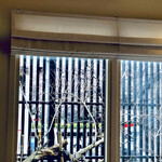 AMOUR - 奥は明治通りの桜