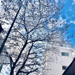 AMOUR - 明治通り