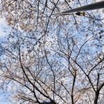 AMOUR - 明治通り