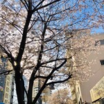 AMOUR - 明治通り