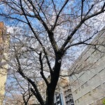 AMOUR - 明治通り