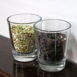 きむら - きむら - 2020年春