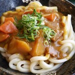 はなまるうどん - カレーうどん・中