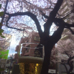 ジョヴァンニ - ビール×桜