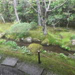 こい茶屋 - 夏には蛍もいる小川　桜の花びらが浮かぶ