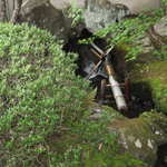 こい茶屋 - 庭の奥には鹿威しがありました