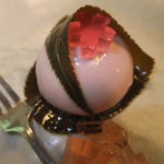 こい茶屋 - サクラのムース