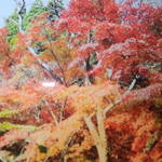 こい茶屋 - 見せて貰った写真を写真に撮りました