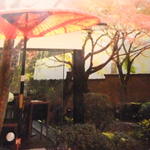 こい茶屋 - 見せて貰った写真を写真に撮りました