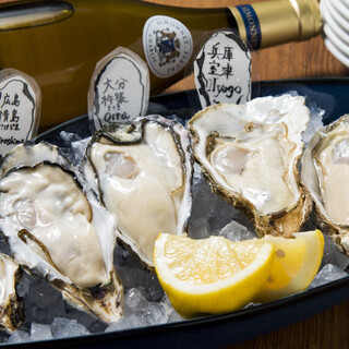 Taste and compare selected Oyster ◎ Enjoy the rich flavor!