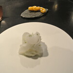 フロリレージュ - アオリイカ