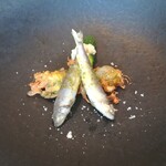 La Brianza - 稚鮎と何か山菜(おそらく蓼)のフリット、胡瓜とバーニャカウダソース。春を感じる稚鮎と山菜のフリットが非常に美味。チーズ香ばし、山菜の衣まで。とてもとても楽しめました。