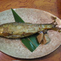 貴船喜らく - 子持ち鮎の煮付け