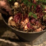 Spice&Dining KALA - なかにカブトムシの幼虫がたくさんいたw