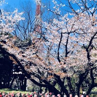 Terrace Dining TANGO - 増上寺