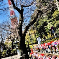 Terrace Dining TANGO - 増上寺