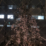 ファクトリー&ラボ 神乃珈琲 - 