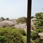 お休み処 さとう - 店窓からの日和山公園の桜は素敵でした
