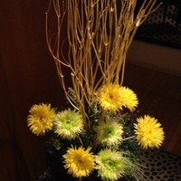 名駅なだ万茶寮 - お花が入り口に・・・
