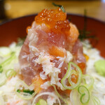 Hokkaidou Akkeshi - 海鮮丼アップ